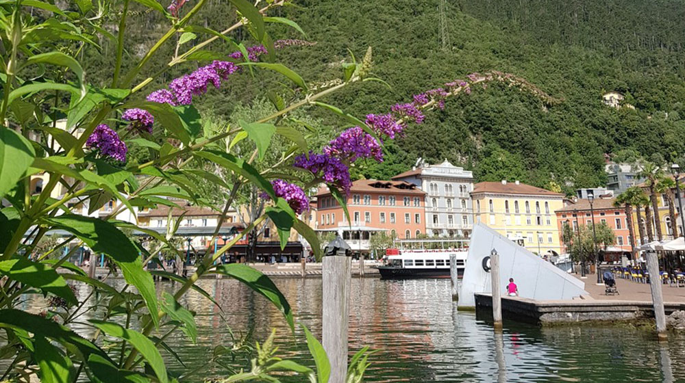 Albergo Ristorante Rolly | I dintorni